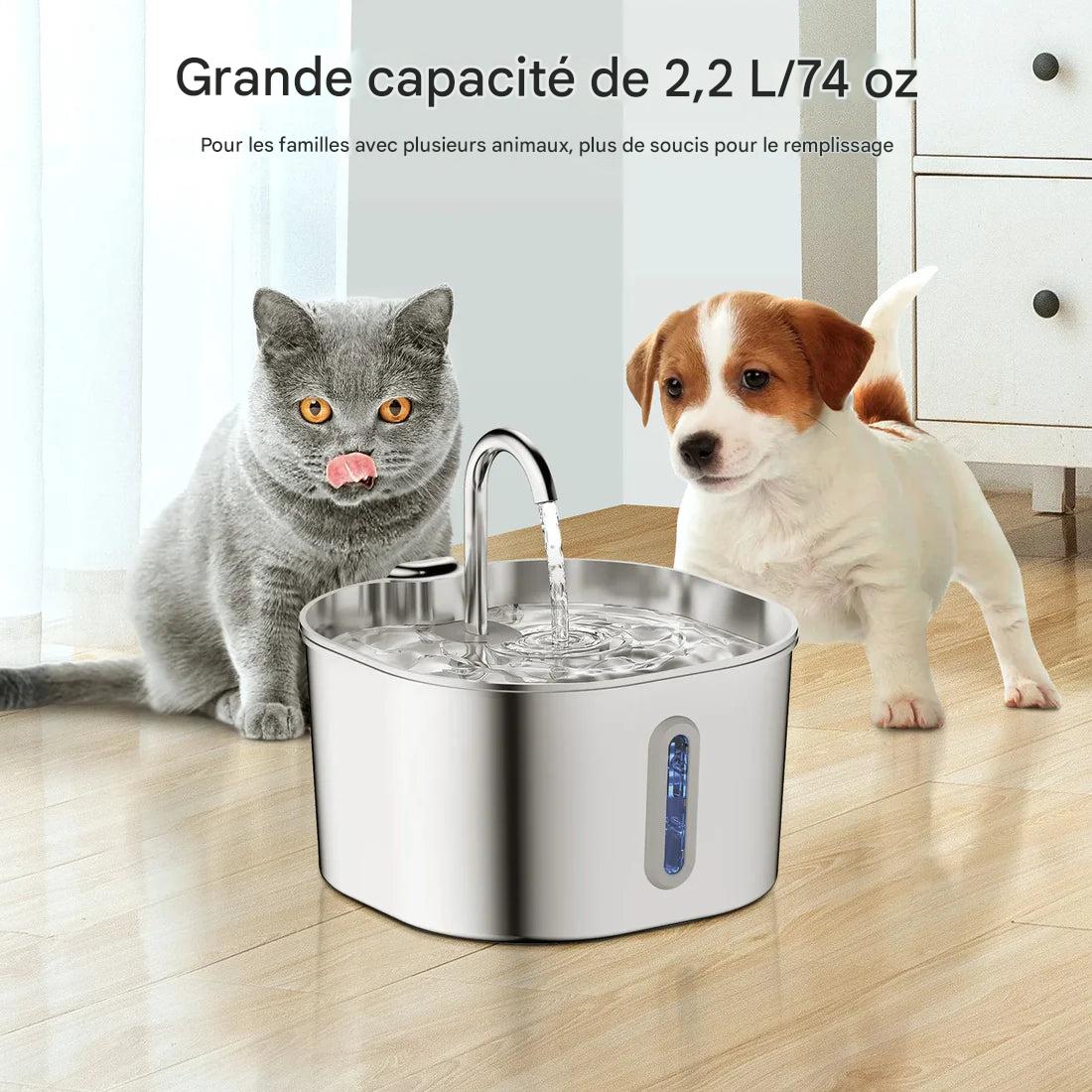 Fontaine À Eau En Acier Inoxydable Purrify