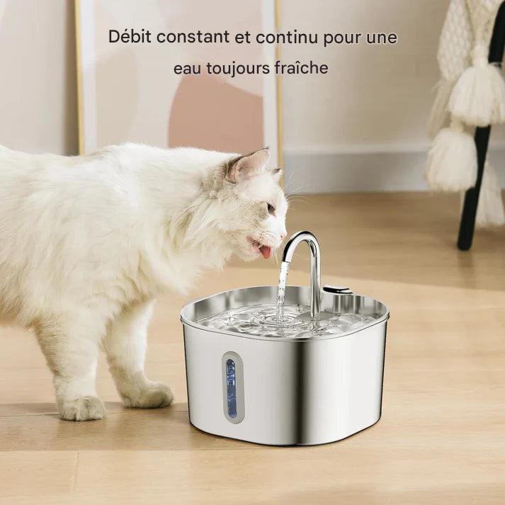 Fontaine À Eau En Acier Inoxydable Purrify
