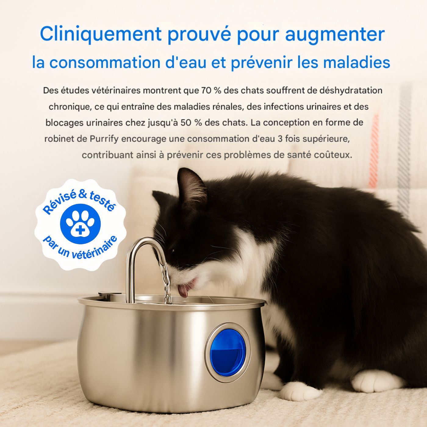 Fontaine À Eau En Acier Inoxydable Purrify