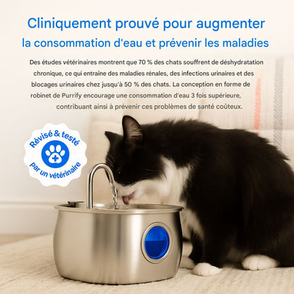 Fontaine À Eau En Acier Inoxydable Purrify