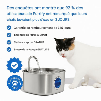 Fontaine À Eau En Acier Inoxydable Purrify