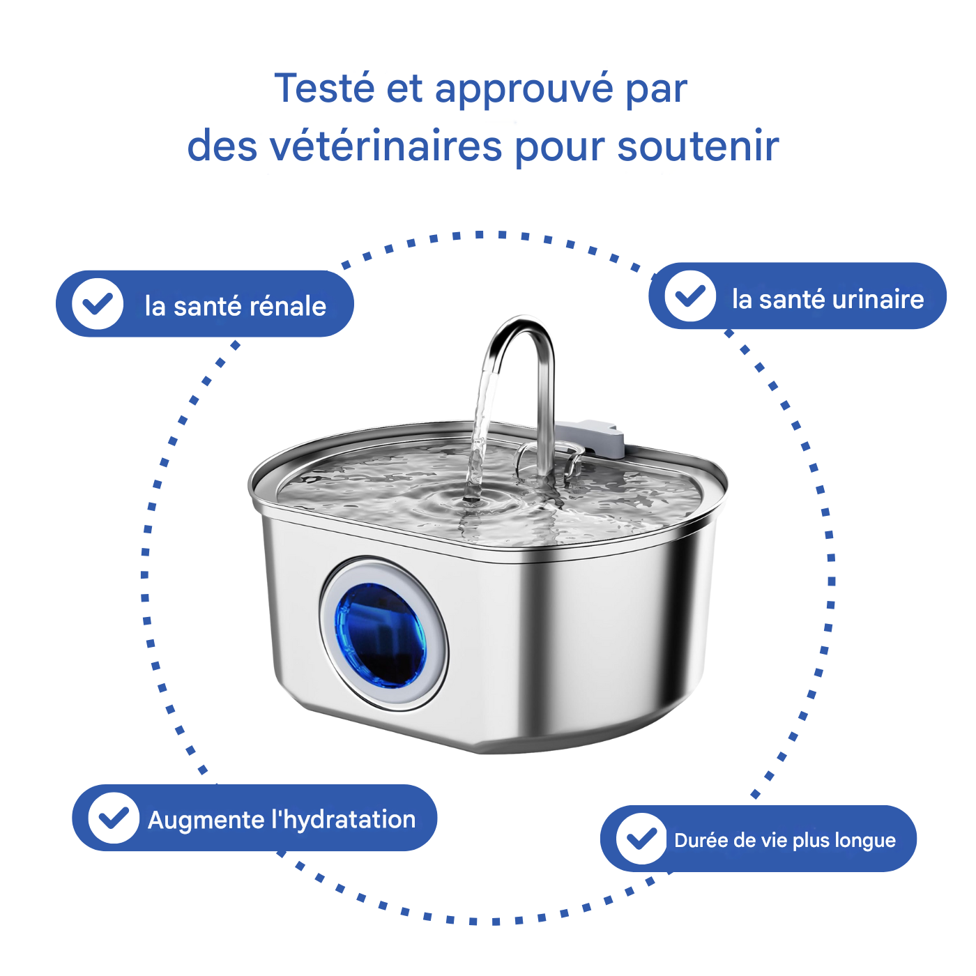 Fontaine À Eau En Acier Inoxydable Purrify