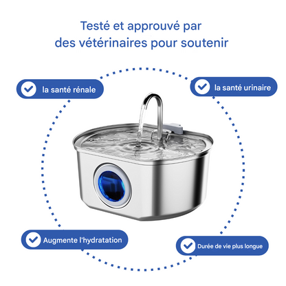 Fontaine À Eau En Acier Inoxydable Purrify