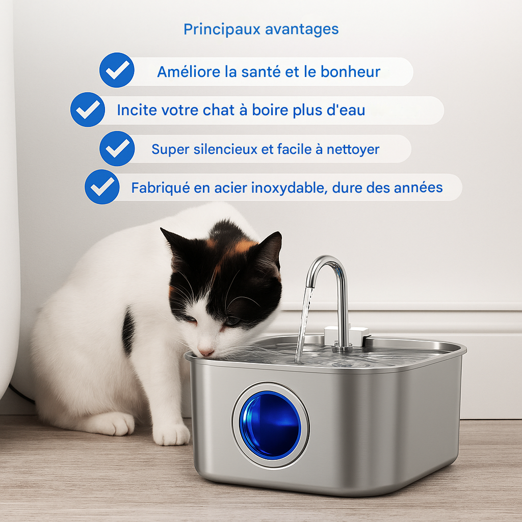 Fontaine À Eau En Acier Inoxydable Purrify