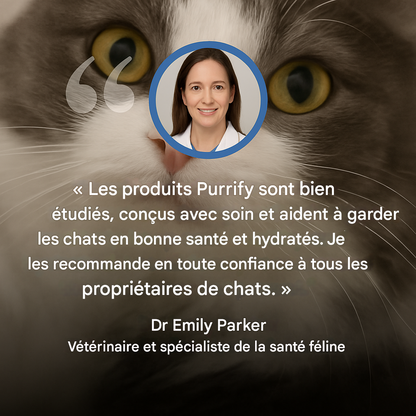 Fontaine À Eau En Acier Inoxydable Purrify
