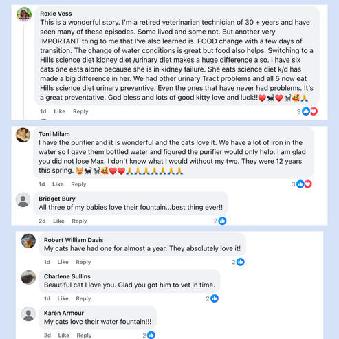 Fontaine À Eau En Acier Inoxydable Purrify v8