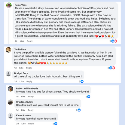 Fontaine À Eau En Acier Inoxydable Purrify v8