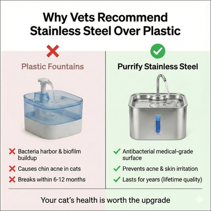 Fontaine À Eau En Acier Inoxydable Purrify v8