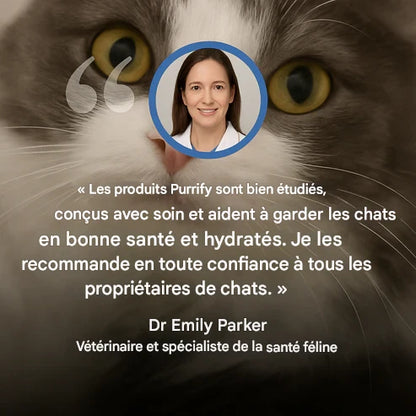 Fontaine À Eau En Acier Inoxydable Purrify