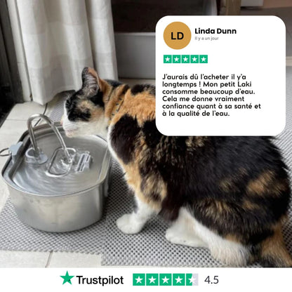 Fontaine À Eau En Acier Inoxydable Purrify